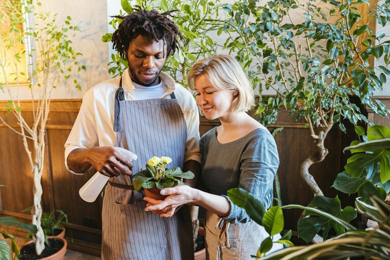 Consejos para mantener plantas de interior saludables y vibrantes